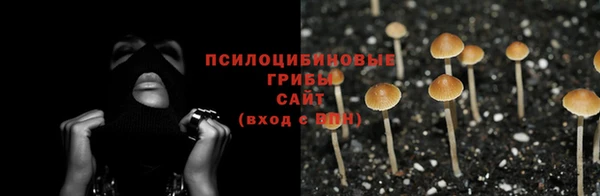 прущий лед Арсеньев